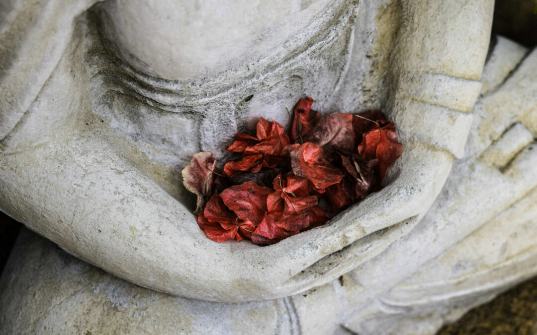 “Ich kann nicht meditieren.” – Wie Achtsamkeit und Meditation mein Leben veränderten